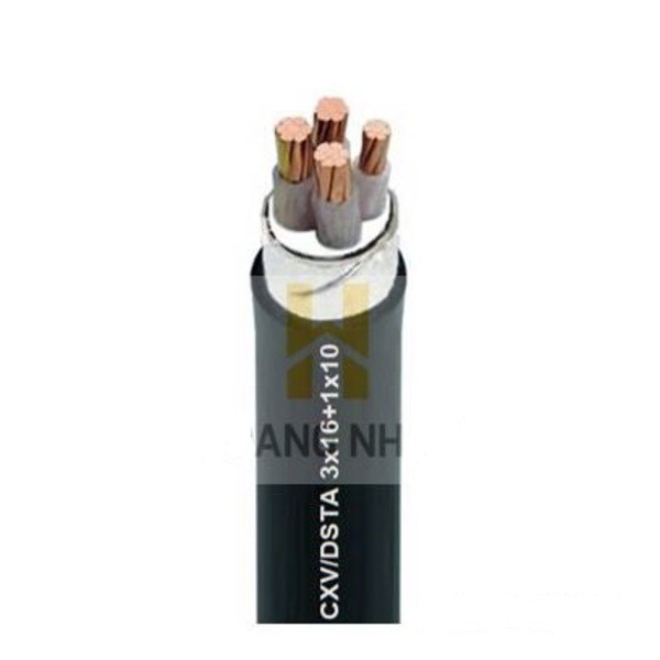 Cáp đồng trần M240- C 240R2 Goldcup